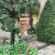 Primo Piazza