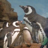 Atmosphere of Xpark Aquarium