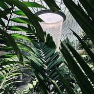 บรรยากาศ Jewel Changi Airport