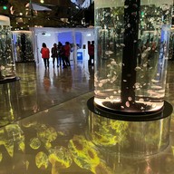 Atmosphere of Xpark Aquarium