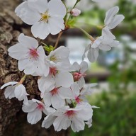 Nogata Reverside Park