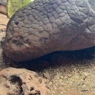 บึงกาฬ ถ้ำนาคา