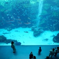 Atmosphere of Xpark Aquarium
