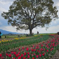 Nogata Reverside Park