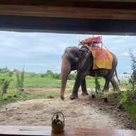 Rak chang × Ayothaya cafe