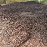 บึงกาฬ ถ้ำนาคา