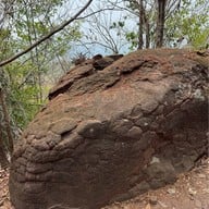 บึงกาฬ ถ้ำนาคา