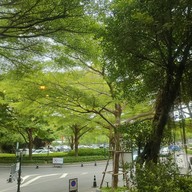 บรรยากาศ Greyhound Café The Crystal