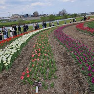 Nogata Reverside Park