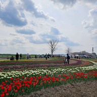 Nogata Reverside Park