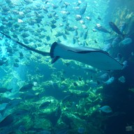 Atmosphere of Xpark Aquarium