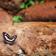 น้ำตกเหวสุวัต