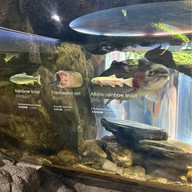 บรรยากาศ Coex Aquarium