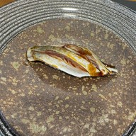 Dailyfish