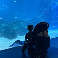 บรรยากาศ Coex Aquarium