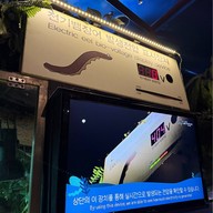 บรรยากาศ Coex Aquarium