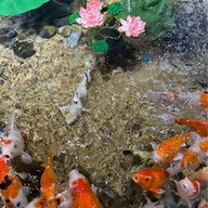 บรรยากาศ Coex Aquarium