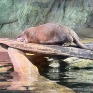 บรรยากาศ Coex Aquarium