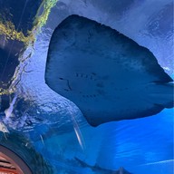 บรรยากาศ Coex Aquarium