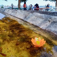 วัดติโลกอาราม กลางกว๊านพะเยา