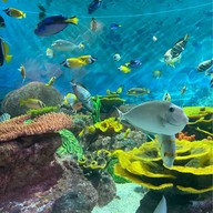 บรรยากาศ Coex Aquarium