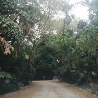 คาเฟ่โรงบ่ม เก๊าไม้ล้านนา สันป่าตอง