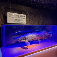 บรรยากาศ Coex Aquarium