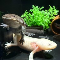 บรรยากาศ Coex Aquarium