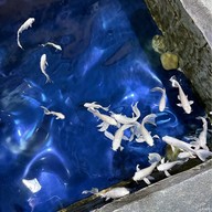 บรรยากาศ Coex Aquarium