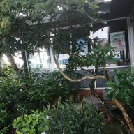 หน้าร้าน Café Amazon - DD1103 ปตท. หจก.สวีปิยะแก๊ส สาขา3