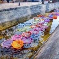 วัดติโลกอาราม กลางกว๊านพะเยา