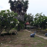 บรรยากาศ เขตห้ามล่าสัตว์ป่าชะอำ