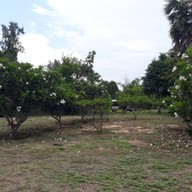 บรรยากาศ เขตห้ามล่าสัตว์ป่าชะอำ