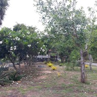 บรรยากาศ เขตห้ามล่าสัตว์ป่าชะอำ