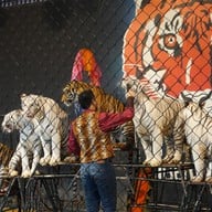 บรรยากาศ Huahin Safari & Adventure Park