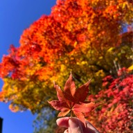 Nikko Toshogu Shrine