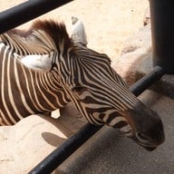 บรรยากาศ Huahin Safari & Adventure Park