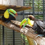 บรรยากาศ Huahin Safari & Adventure Park