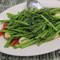 Potetato Restaurant &Cafe