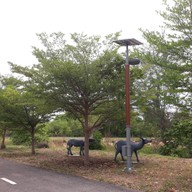 บรรยากาศ เขตห้ามล่าสัตว์ป่าชะอำ