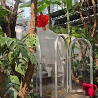 Potetato Restaurant &Cafe