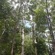 บรรยากาศ อุทยานแห่งชาติอ่าวสยาม