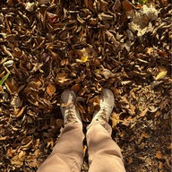 Nikko Toshogu Shrine