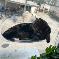 More Espresso, Less Depresso.