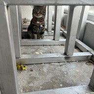 More Espresso, Less Depresso.