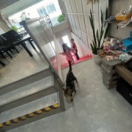 More Espresso, Less Depresso.