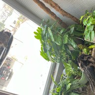 More Espresso, Less Depresso.