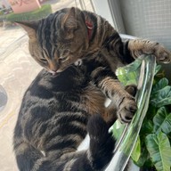 More Espresso, Less Depresso.