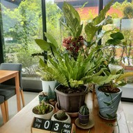 Jarn Nee Plaum Pasta & Bistro ติวานนท์