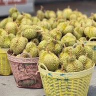 ทุเรียน&ผลไม้ตามฤดูกาล ทุเรียนมหาชัย